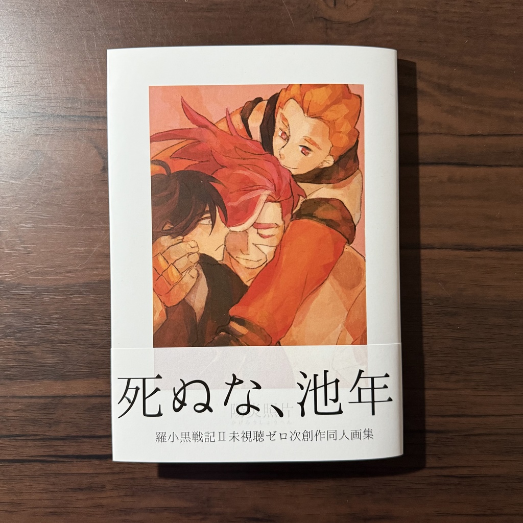 陽炎照片(視聴前のX公開FA再録本　池年中心)