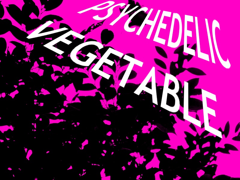 【クトゥルフ神話TRPG】mini box