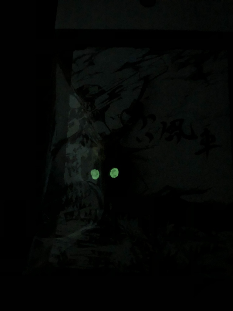 蓄光ペストマスクストラップ