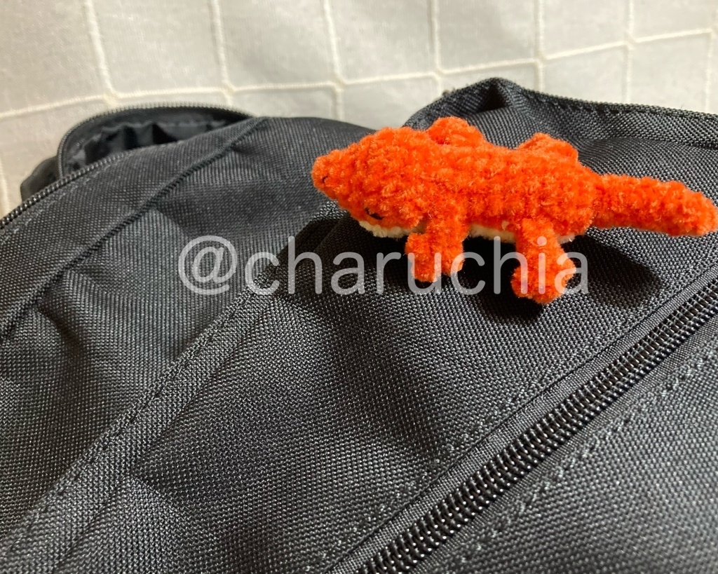 トカゲさん🦎あみぐるみ ※オプション有