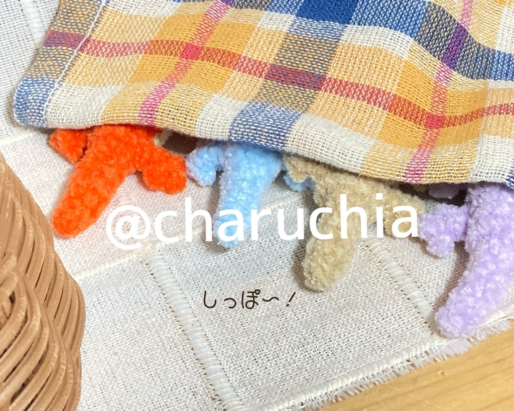 トカゲさん🦎あみぐるみ ※オプション有