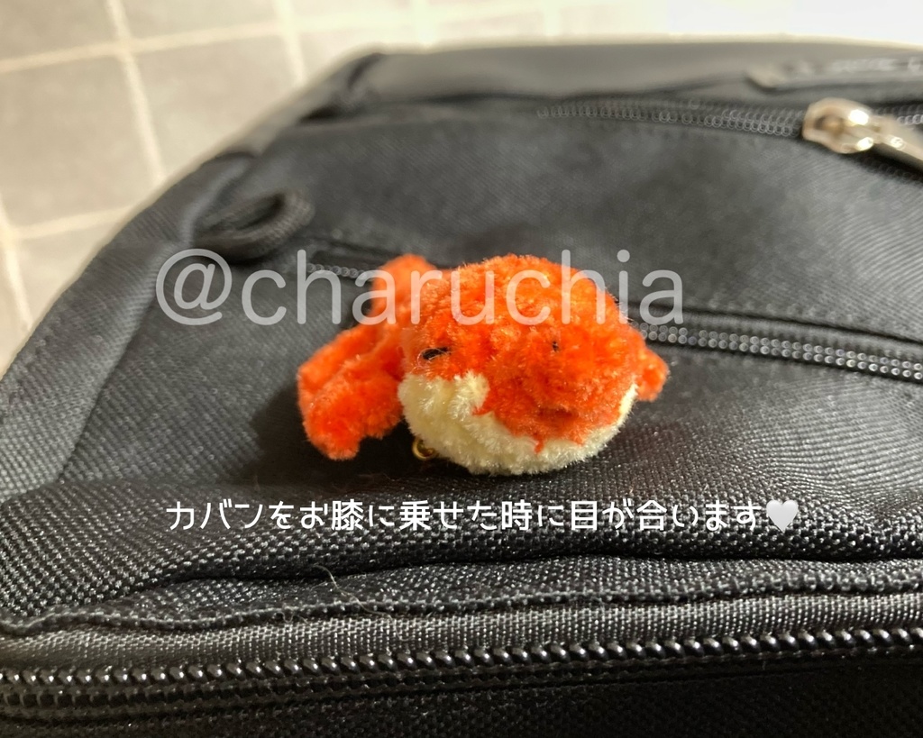 トカゲさん🦎あみぐるみ ※オプション有