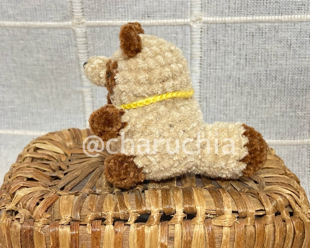 おでかけたぬきさん