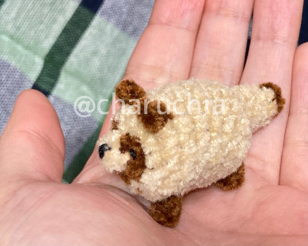 ちびたぬきさん ※オプション有