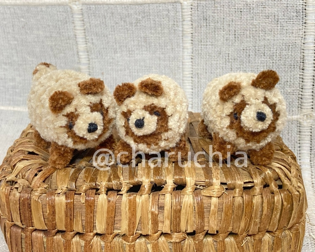 ちびたぬきさん ※オプション有