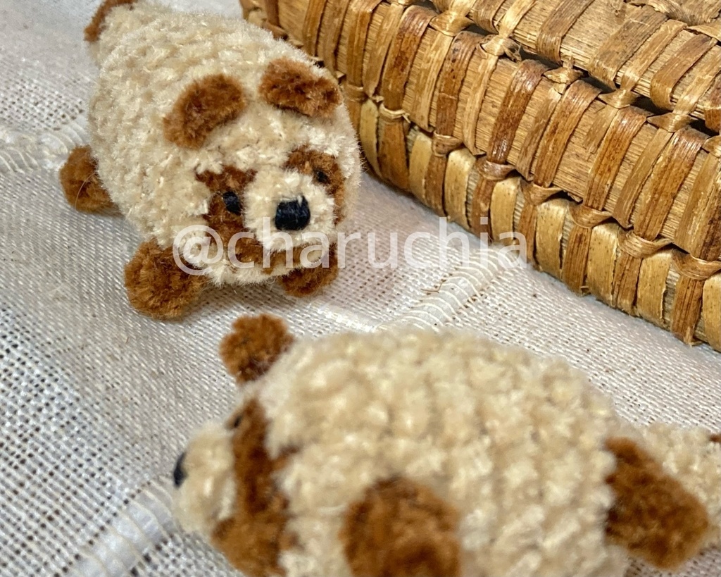 ちびたぬきさん ※オプション有