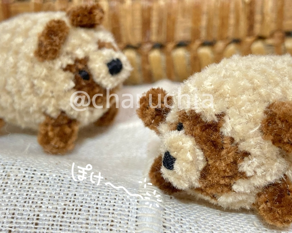 ちびたぬきさん ※オプション有