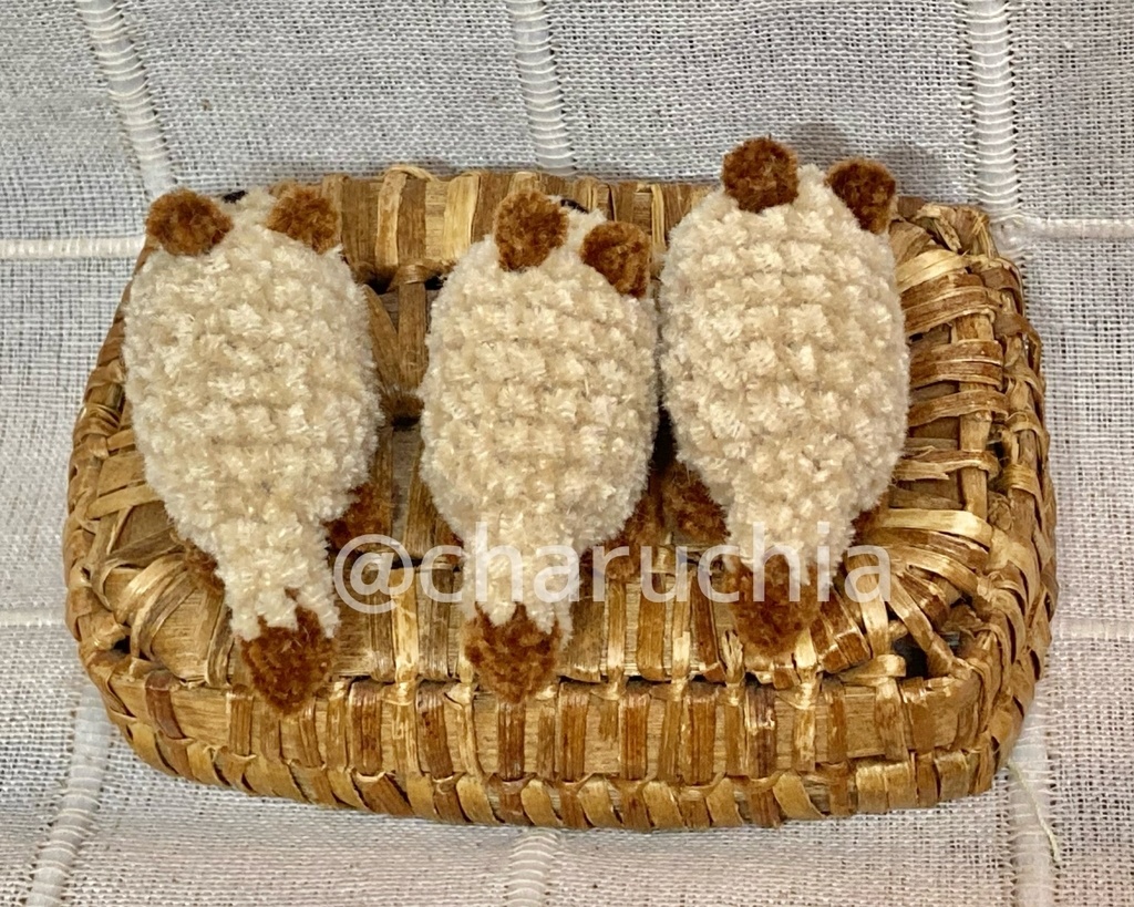 ちびたぬきさん ※オプション有