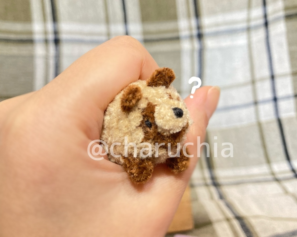 ちびたぬきさん ※オプション有