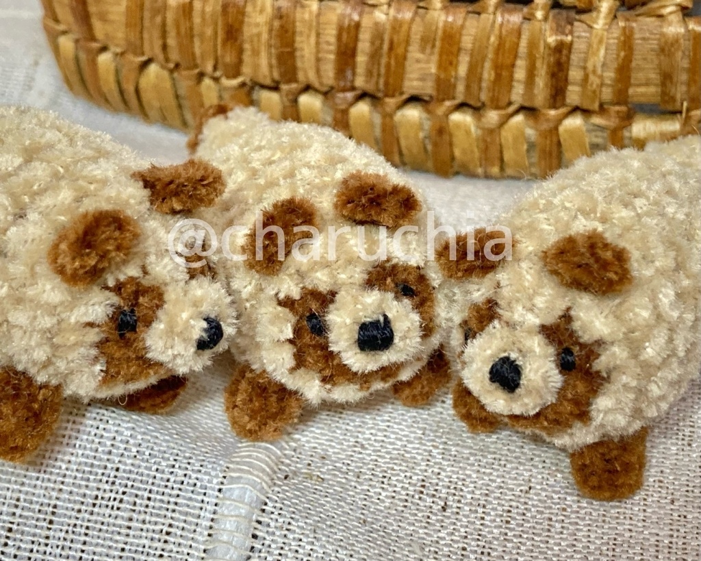 ちびたぬきさん ※オプション有