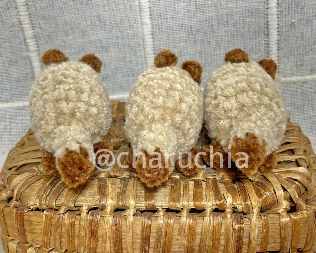 ちびたぬきさん ※オプション有