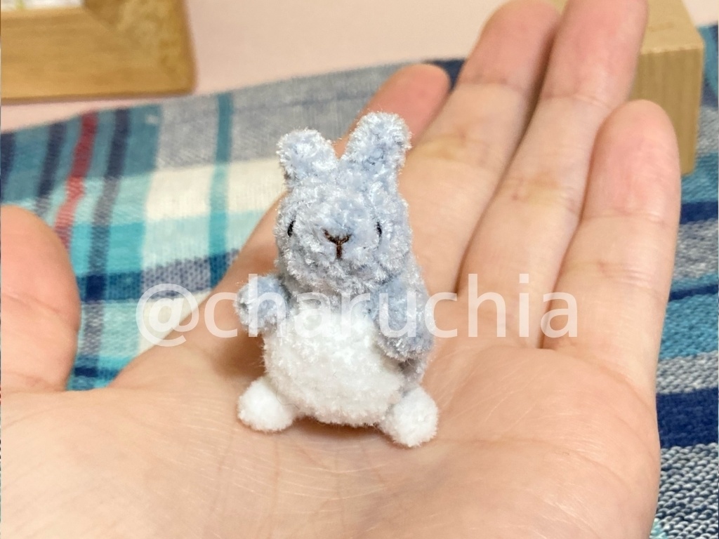 小さいうさぎ(タッチの姿)