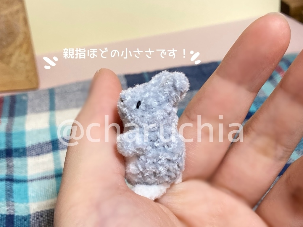 小さいうさぎ(タッチの姿)