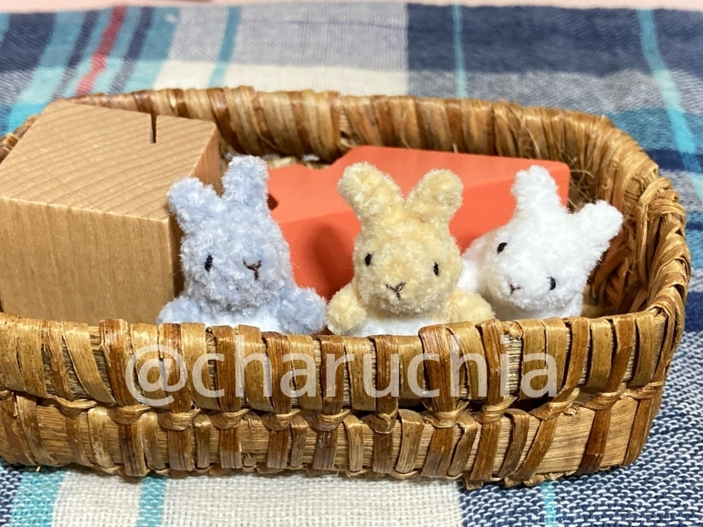 小さいうさぎ(タッチの姿)