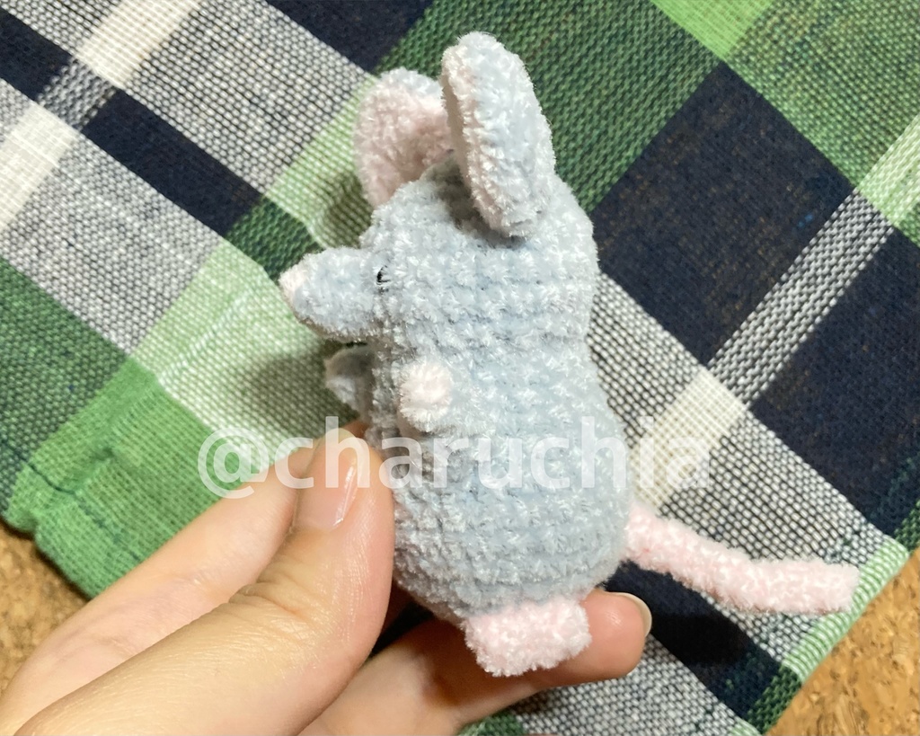 ねずみフレンズ🐭