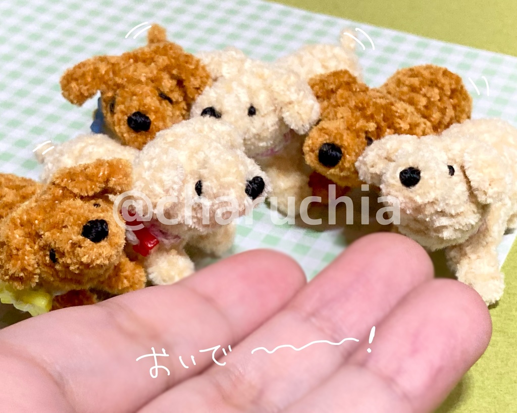 見上げる小さなわんこ🐶