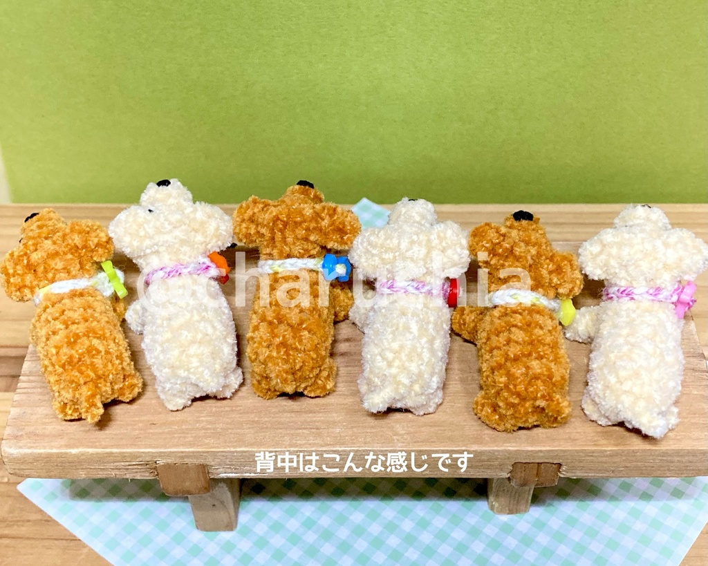 見上げる小さなわんこ🐶