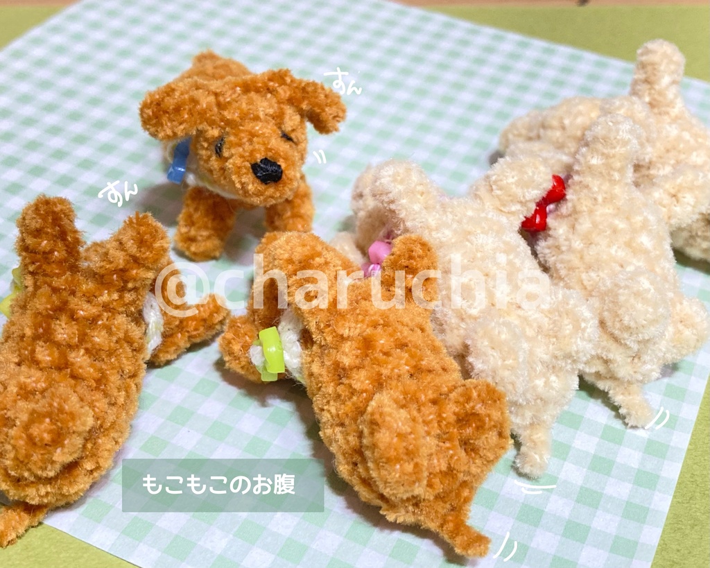 見上げる小さなわんこ🐶