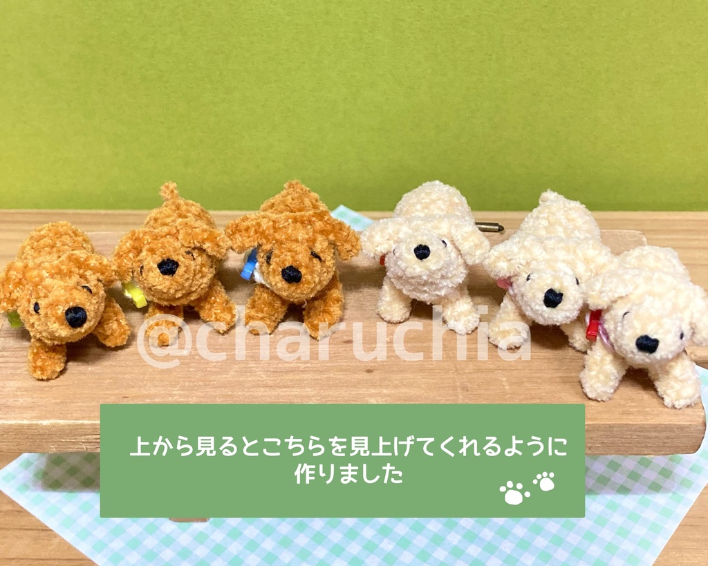 見上げる小さなわんこ🐶