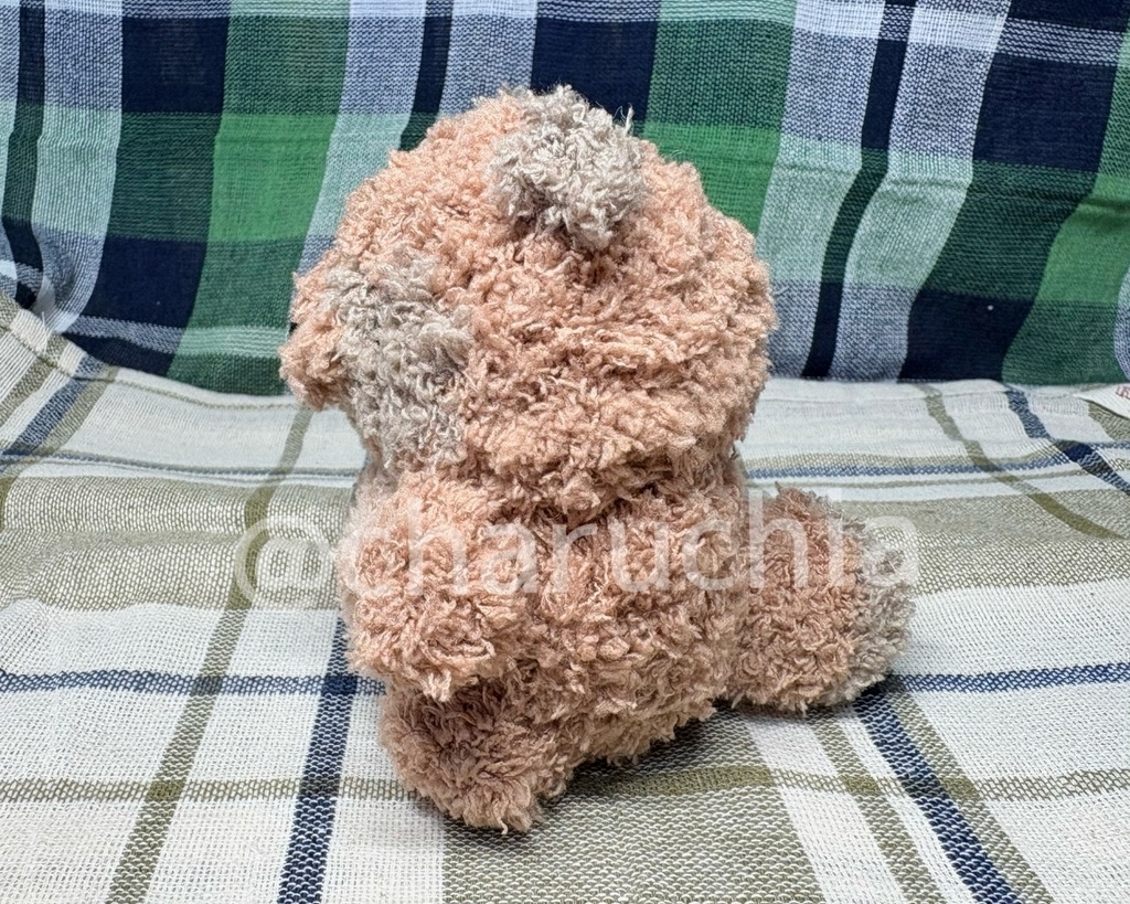 ふわふわたぬきさん