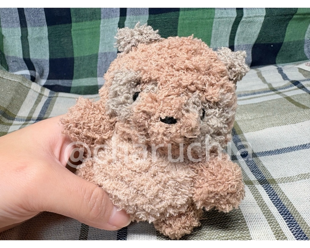 ふわふわたぬきさん