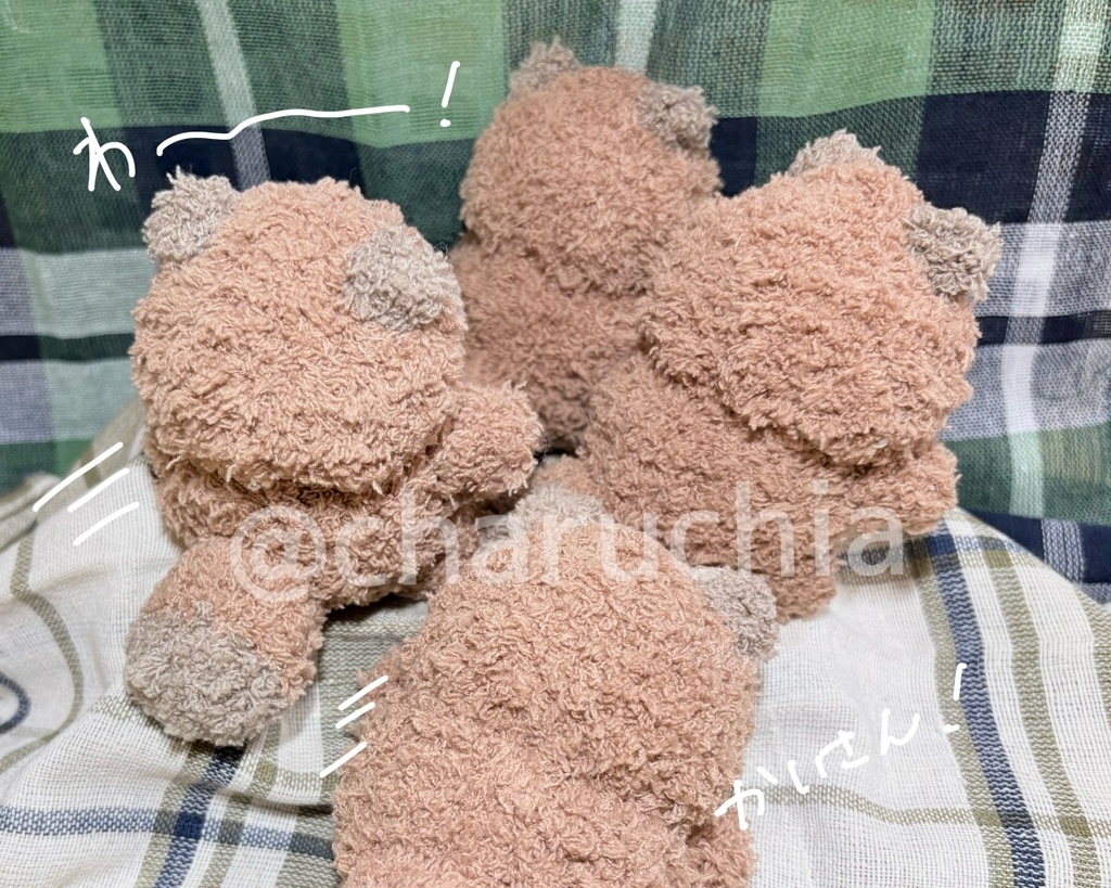 ふわふわたぬきさん