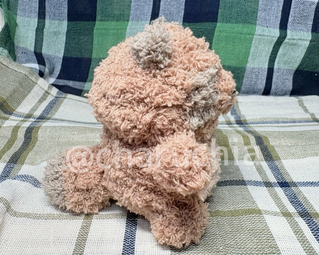 ふわふわたぬきさん