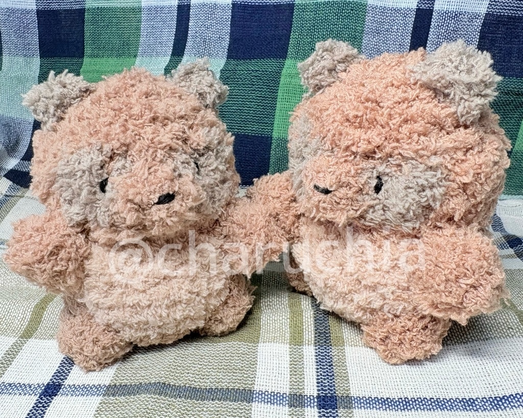 ふわふわたぬきさん