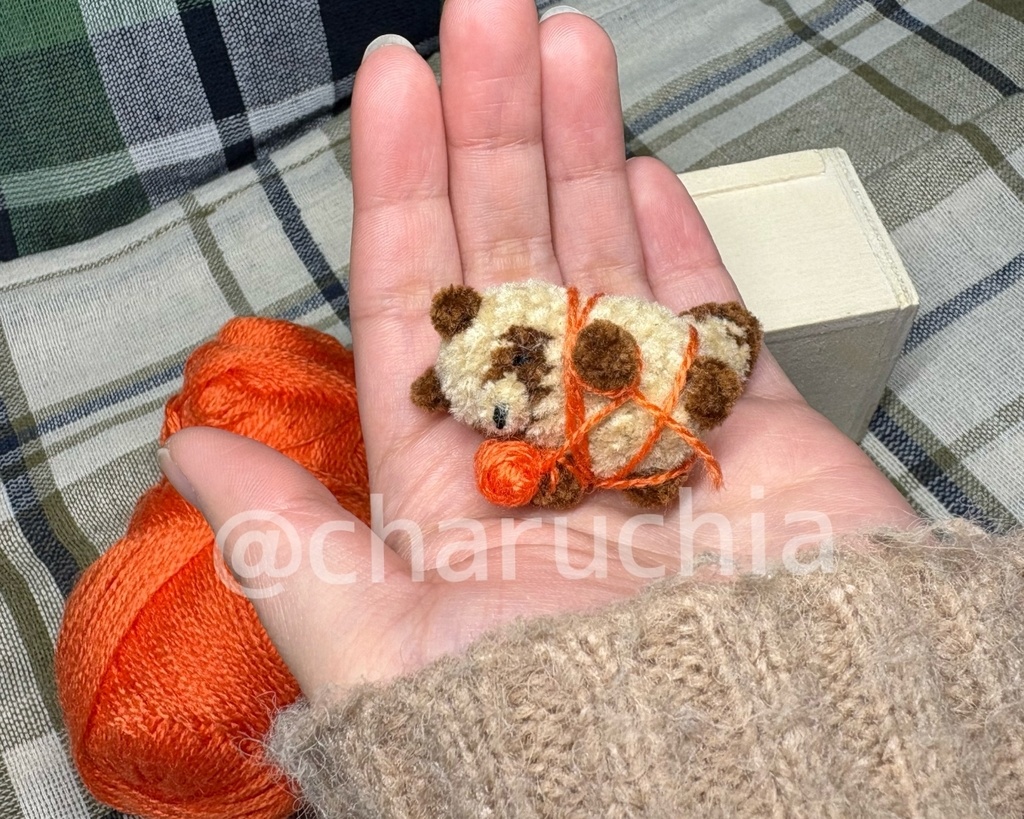 毛糸絡まりたぬきさん