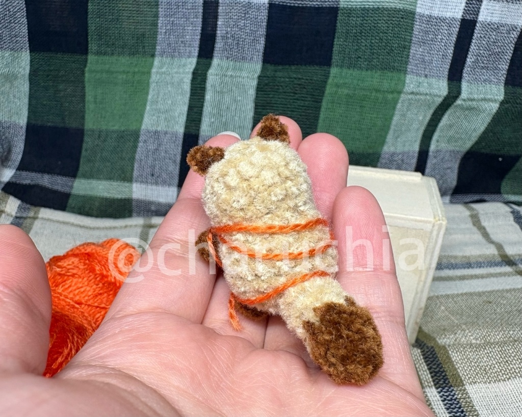 毛糸絡まりたぬきさん