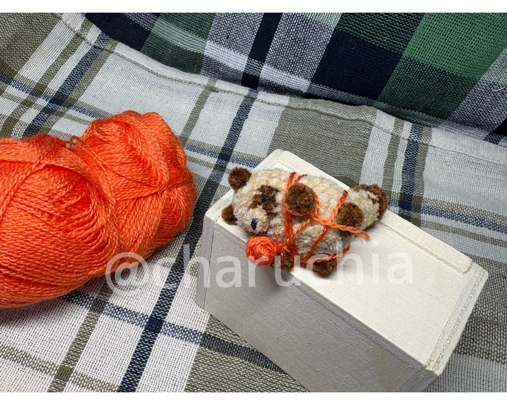 毛糸絡まりたぬきさん