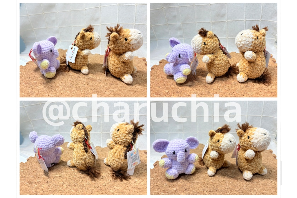 あみコレ2025おうち探し①