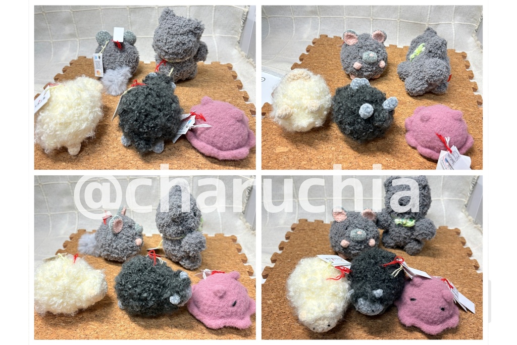 あみコレ2025おうち探し①