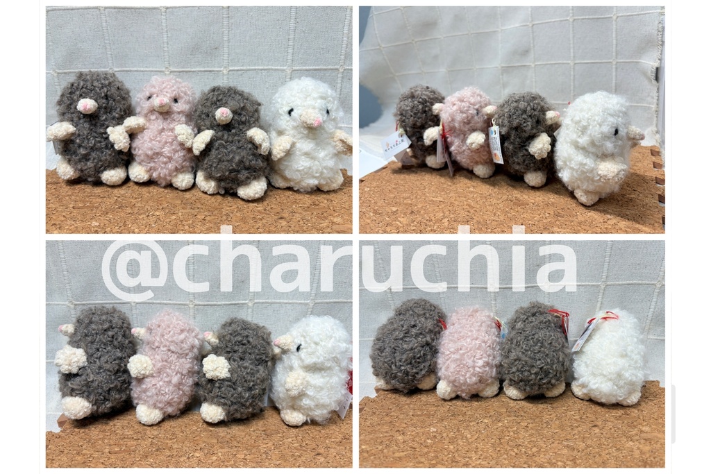 あみコレ2025おうち探し②