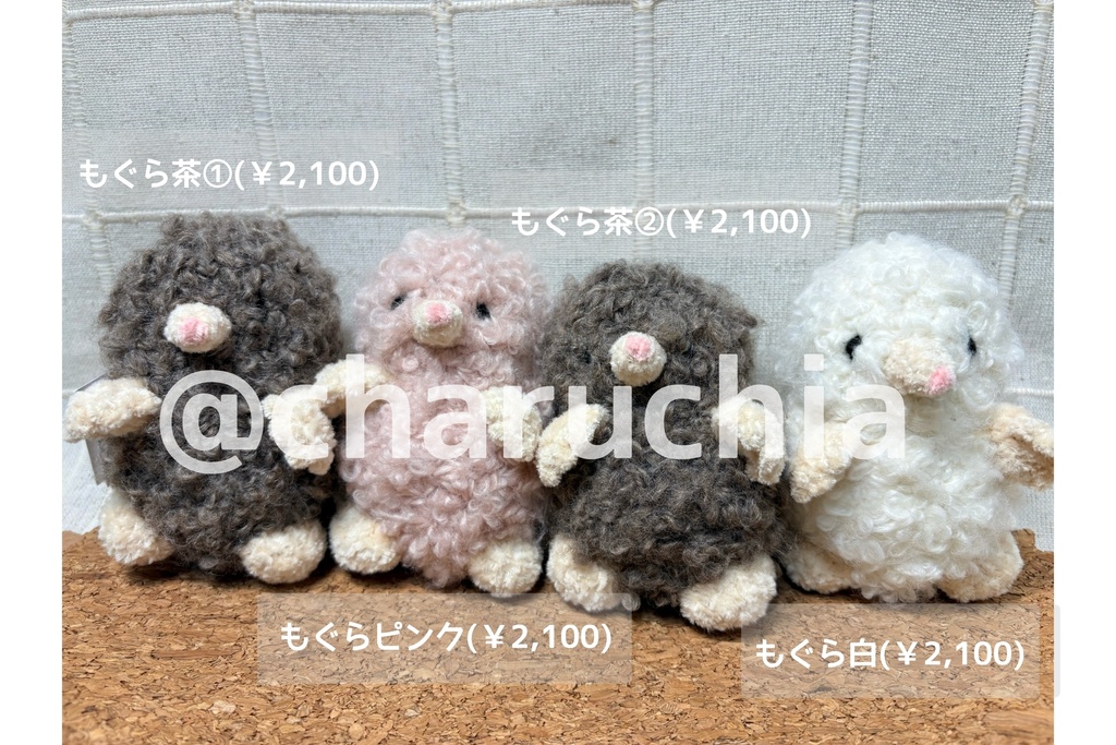 あみコレ2025おうち探し②