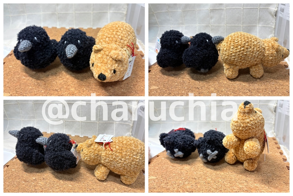 あみコレ2025おうち探し②