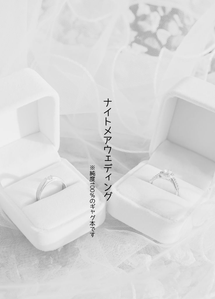 小説本「ナイトメア・ウェディング」(高佐)