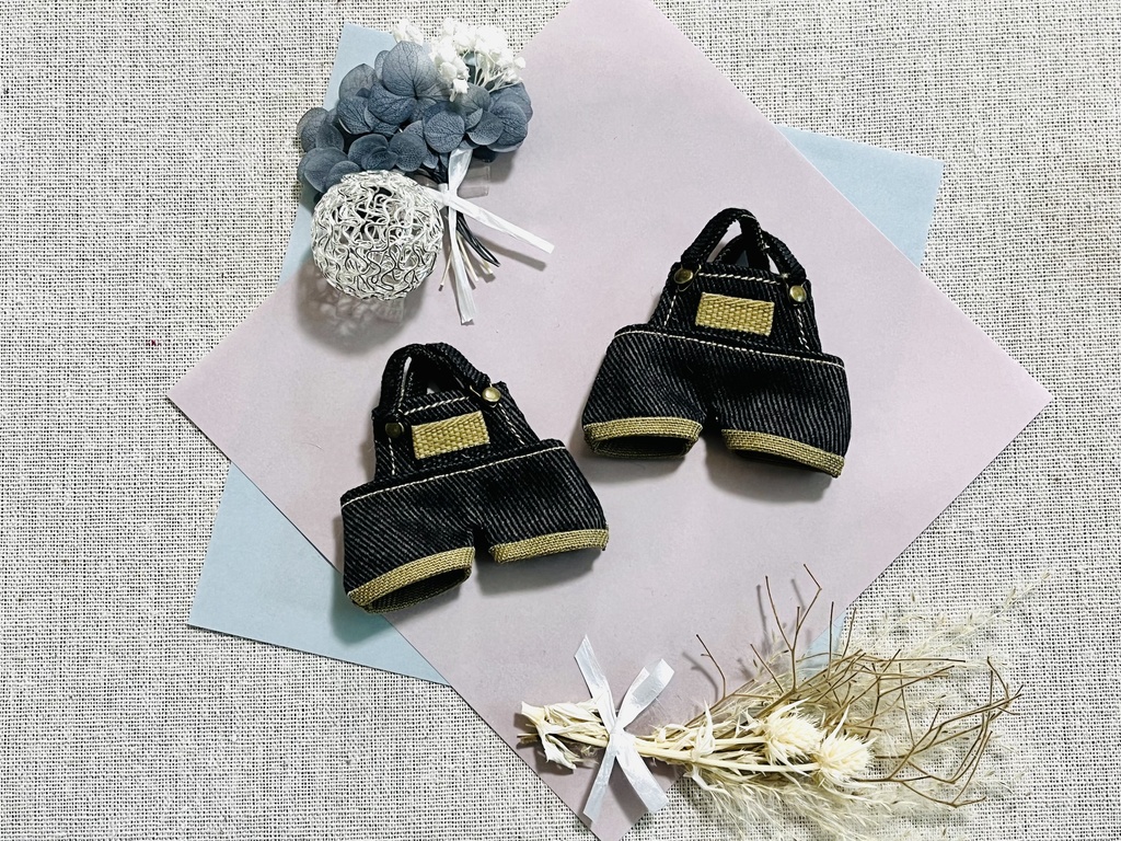 サロペットꫛꫀꪝ✧‧˚カラー