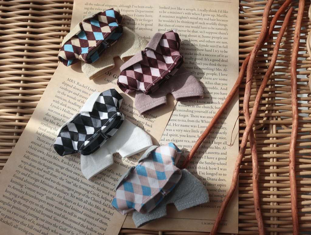 アーガイル風セットアップ