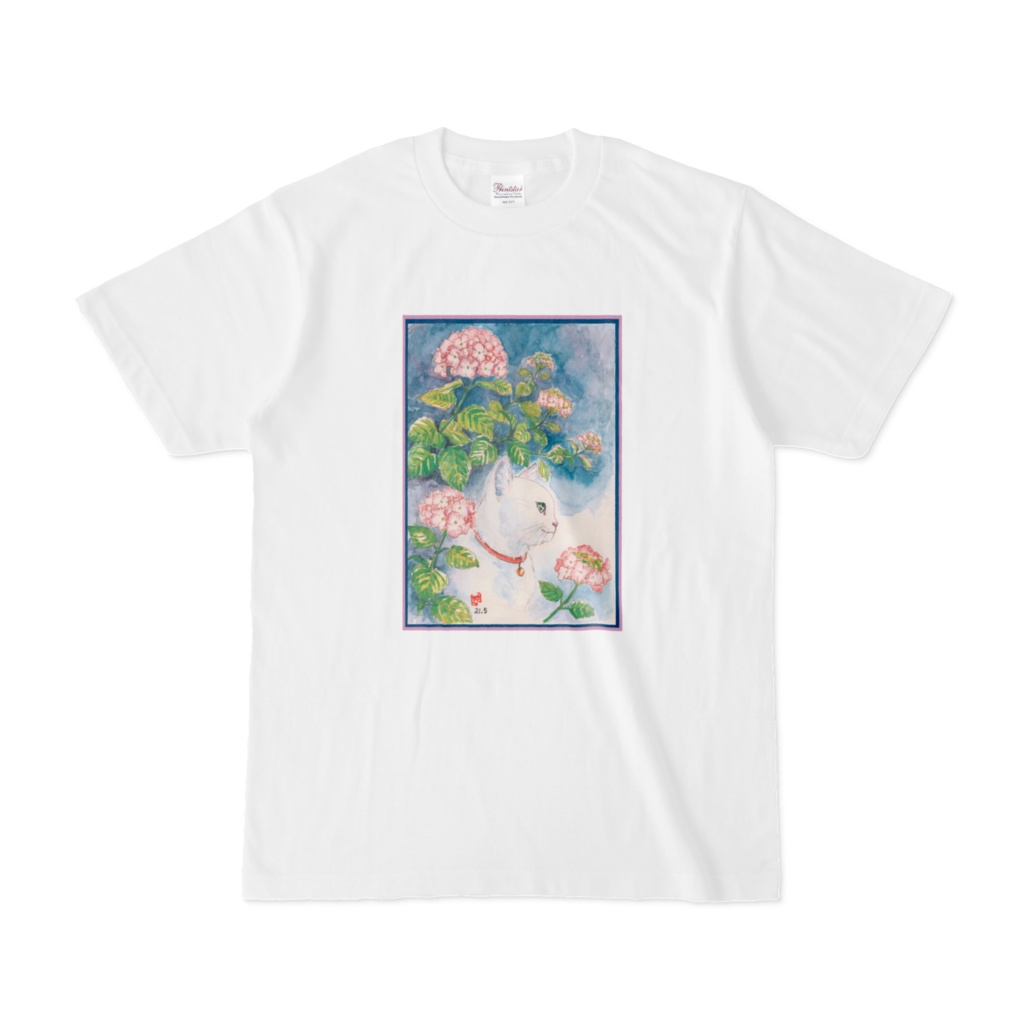 猫と紫陽花