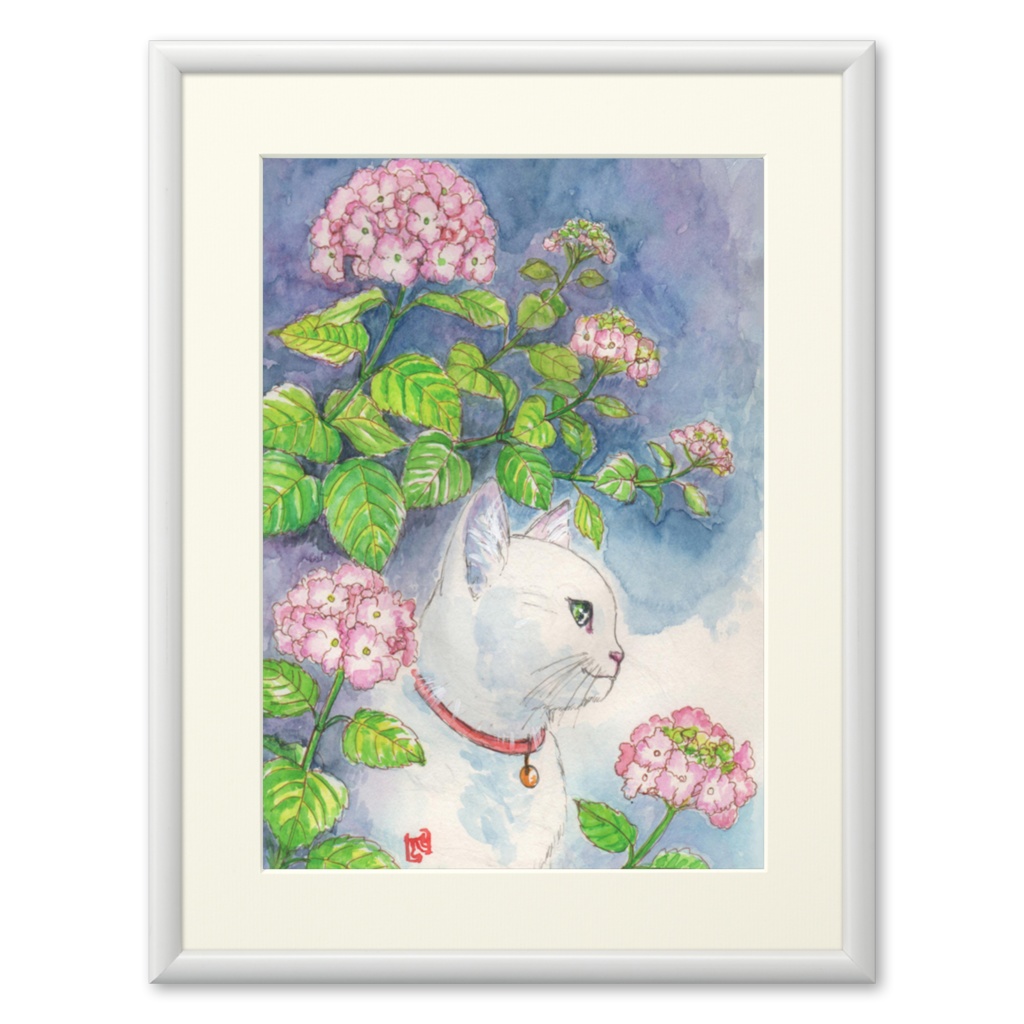 アジサイの花影