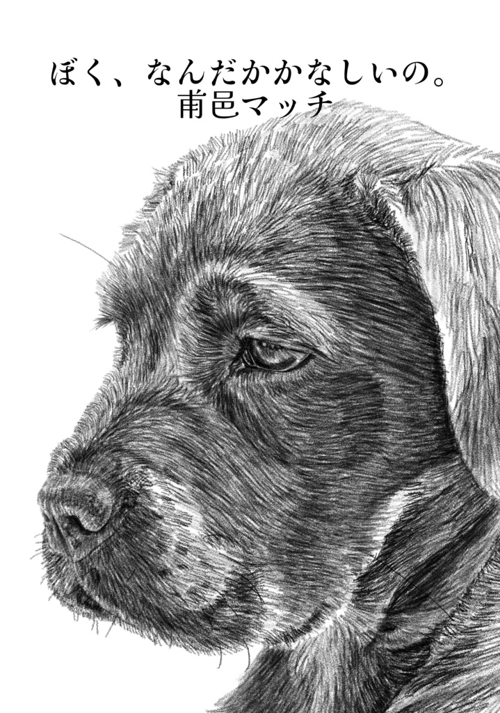 『ぼく、なんだかかなしいの。』甫邑マッチ