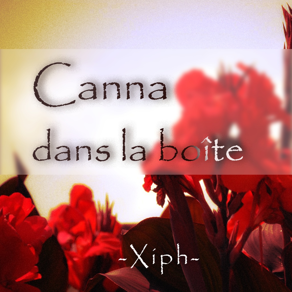 Canna dans la boîte