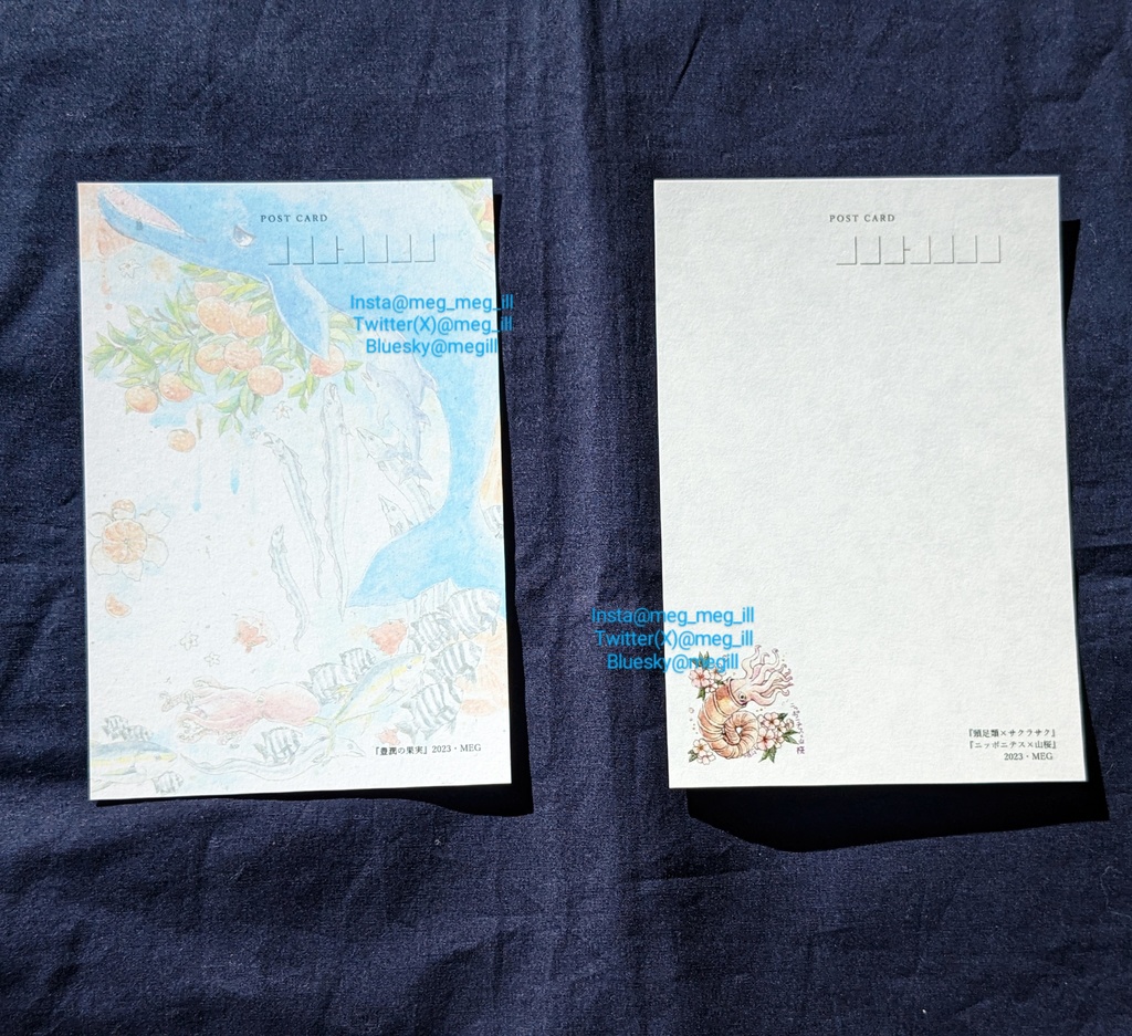 海のいきものポストカード(2023年夏〜秋)