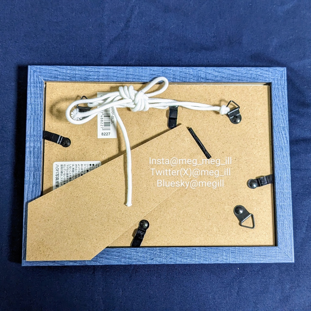 額装原画『星編む猫とモユククサウオ』