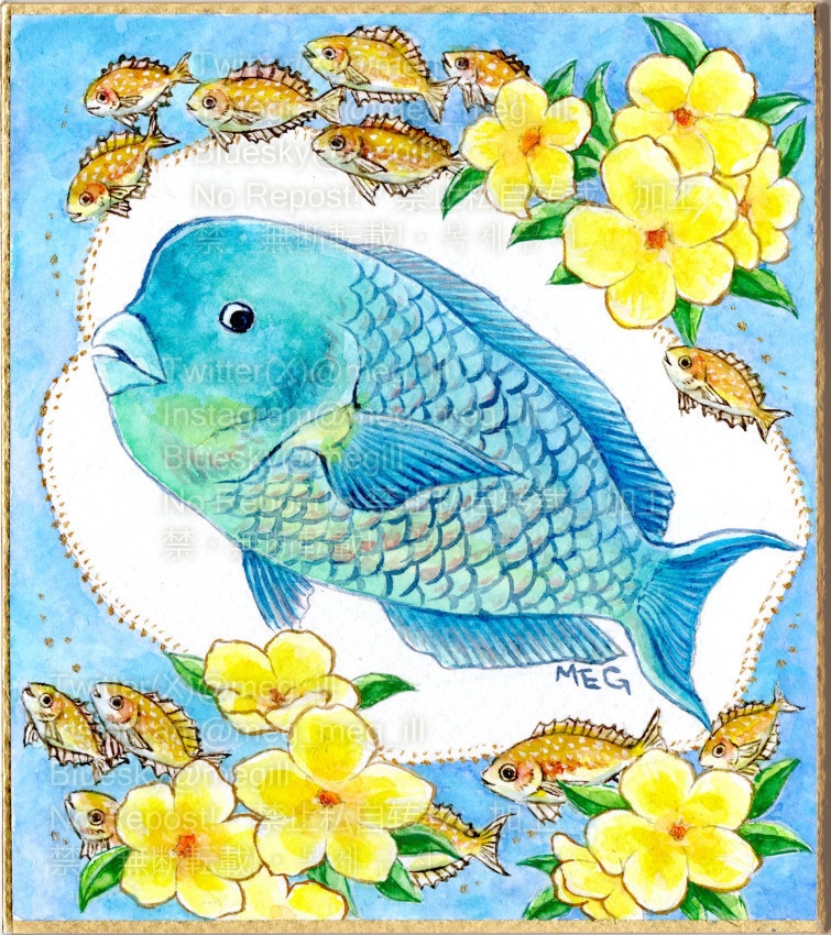 額装原画「ナンヨウブダイとアリアケカズラ」