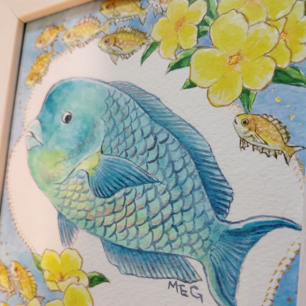 額装原画「ナンヨウブダイとアリアケカズラ」