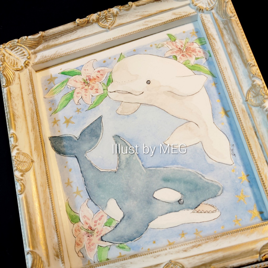 額装原画「シャチとベルーガ」