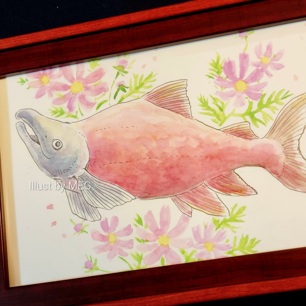 額装原画「ベニサケ」