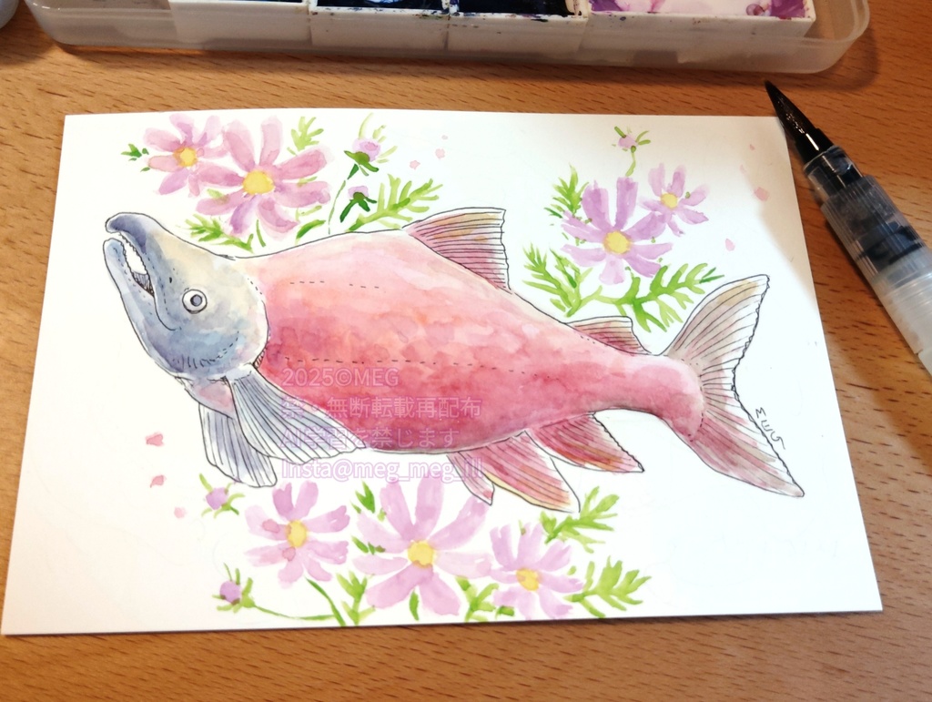 額装原画「ベニサケ」